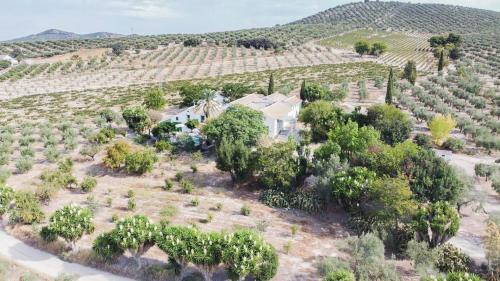Cabra Haus | Cortijo Don Simón