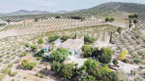 Cabra Haus | Cortijo Don Simón
