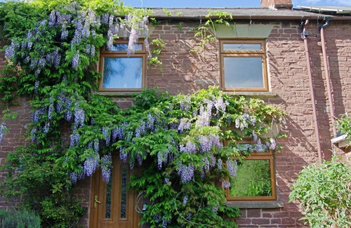 Mitcheldean Hütte | Cosy 18th century cottage. Pet friendly. Absolute tranquility!