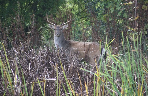 Woolhope Haus | Gemütliches und komfortables Cottage mit der besten Aussicht auf das Wye Valley