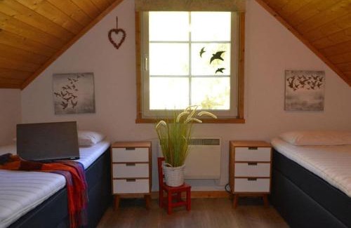 Userin Wohnung | Cosy apartment in Userin