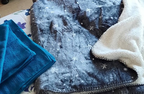 Wildberg Haus | Cosy, pet-friendly house with extras in an idyllic location