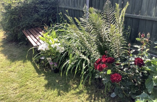 Hay on Wye Haus | Cosy, quiet two bedroomed cottage in the centre of Hay on Wye.