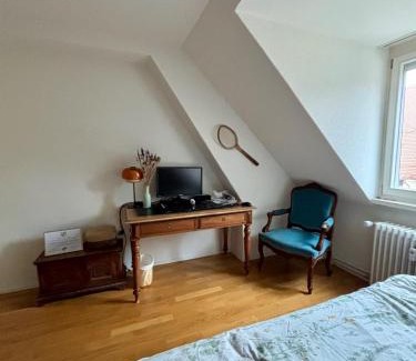 Sihlfeld Haus | Cosy room in attic flat in the center of Zurich