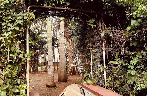 Kisumu Wohnung | Cosy Studio 5 minutes to Kisumu CBD With Pool Garden and restaurant.