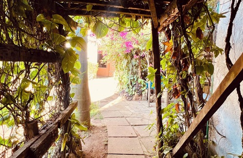 Kisumu Wohnung | Cosy Studio 5 minutes to Kisumu CBD With Pool Garden and restaurant.