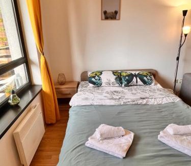 Razlog Wohnung | Cosy studios with mountain view near Bansko