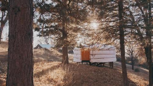 Dunlap Haus | Cosy yurt at a nature retreat in CA