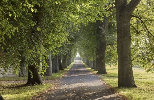 Melksham Hütte | Cottage at Shaw