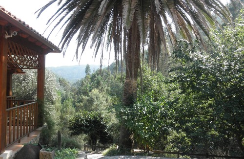 Figueiro dos Vinhos Hütte | Cottage bequem, sehr ruhig und Komfort.