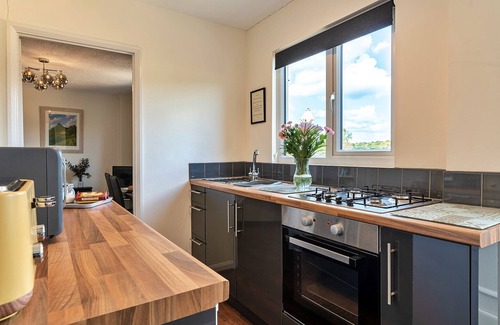 Wedmore Hütte | Hütte in Somerset mit Gartenblick