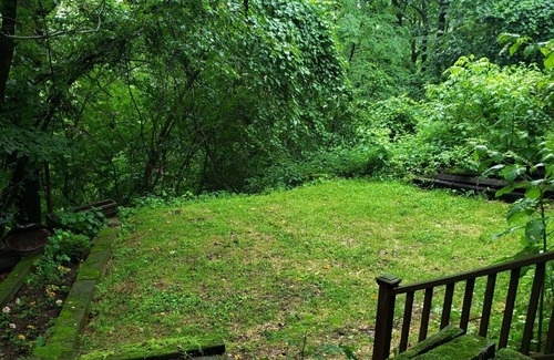 Carnegie Hütte | Carnegie Cottage - Haustierfreundlich und abgelegen in der Nähe von Pittsburgh
