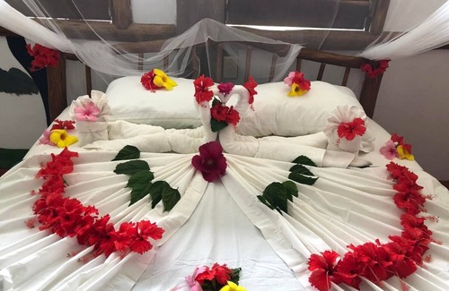Punta Gorda Kabine | Cotton Tree Lodge