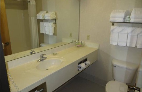 Lansing Hotel | Country Inn & Suites by Radisson, Lansing, MI