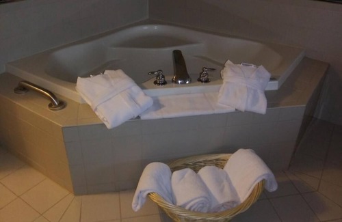 Dundee Hotel | Country Inn & Suites by Radisson, Dundee, MI