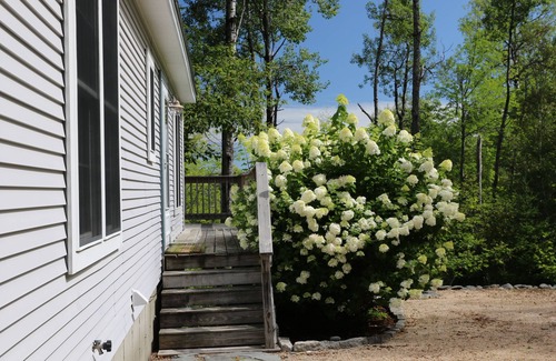 Surry Haus | Oceanview NEU für 2020 -3 Bett 2 Bad in Surry, Maine in der Nähe von Acadia Natl Park