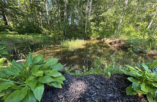 St. Croix County Wohnmobilvermietung | Cozy 1-bedroom Yurt Camping in Wilson