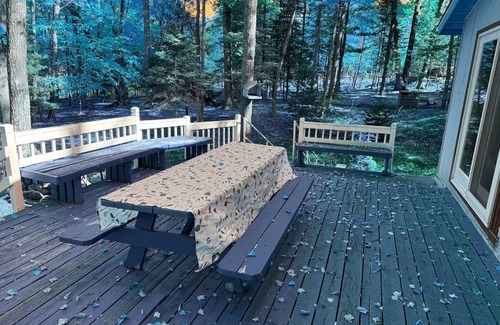 Spruce Kabine | Cozy 2-bedroom cabin in South Shore of Hubbard Lake