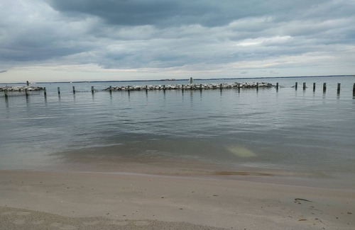 Annapolis Haus | Cozy 3-bdrm home in Annapolis. Steps away from the beach/4.7 miles to downtown.