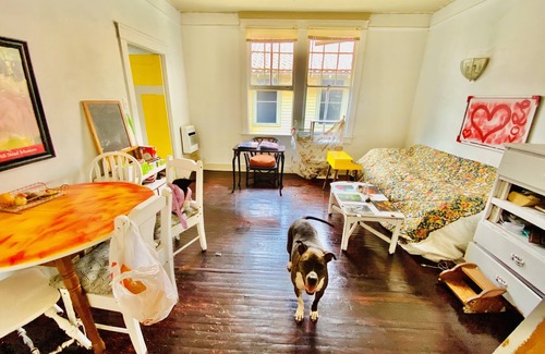 Uptown Historic District Haus | Cozy and Bright Room Uptown