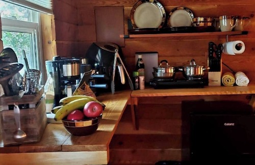 Hot Springs Kabine | Cozy Cabin in the Pines