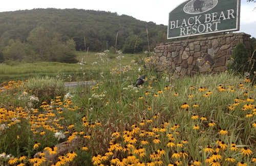 Davis Kabine | Gemütliche Hütte mit Schwimmen, Wandern, Skifahren und Radfahren