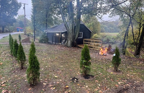 Coshocton Kabine | Cozy cabin with WiFi and AC in welcoming Willcreek River