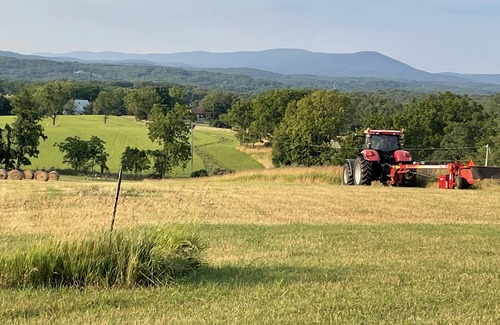 Ridgeway Skihütte | Cozy Chalet with beautiful Country Vista