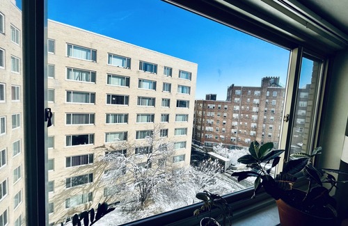 Mount Pleasant Wohnung | Cozy Columbia heights studio with lovely cat!