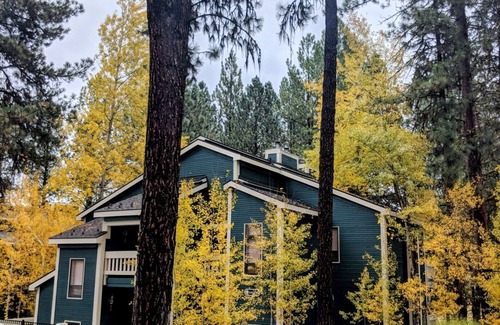 New Meadows Eigentumswohnung | Cozy condo perfectly located in resort/golf course. Minutes from Brundage/McCall