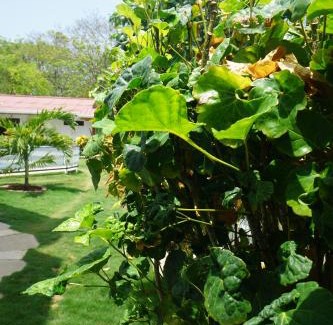 Punta Sur Haus | Cozy Cottage Posada Turistica