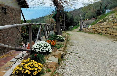 Laureana Cilento Haus | Cozy country house with breathtaking views and wide open spaces.