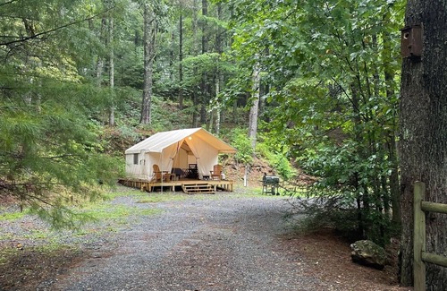 Deep Gap Kabine | Cozy Glamping Tent near Boone with AC