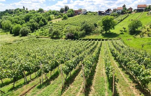 Veliko Trojstvo Haus | Cozy Home In Maglenca With Sauna