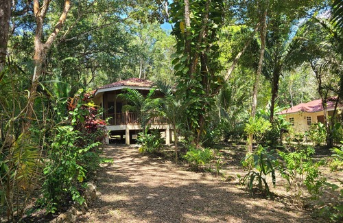 San Ignacio Hütte | Las cabañas en Monkey Falls