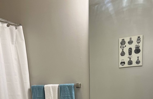 Lenox Wohnung | Cozy Palace Buckhead - 420 Friendly