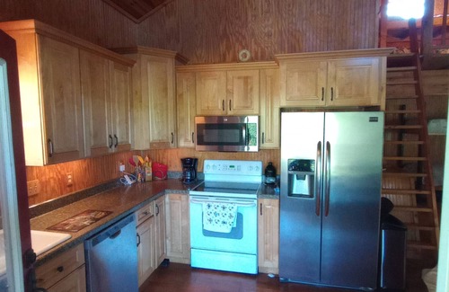 Coosa Kabine | Cozy private cabin on 10 acres with 300+ feet of water front. Pet friendly.