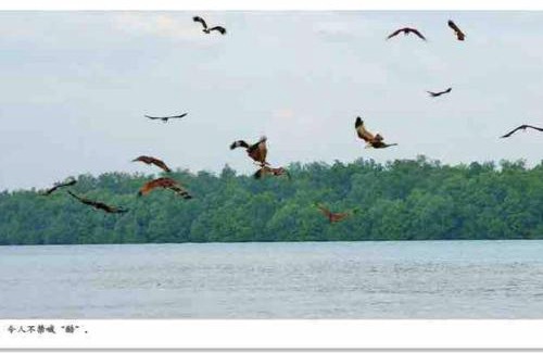 Chow Kit Wohnung | Cozy Regalia KL 吉隆玻 LRT & KTM @1 Parking & WIFI