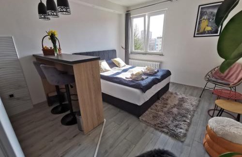 Doboj Wohnung | Cozy studio Cik-Cak