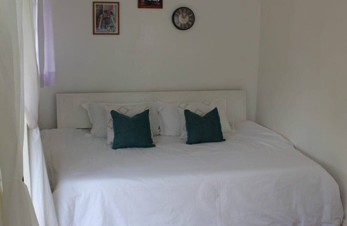 Central Business District Hütte | Cozy Tiny Home|charming private garden