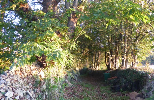 Pouldergat Hütte | GEMÜTLICHES FERIENHAUS AUF DEM LAND