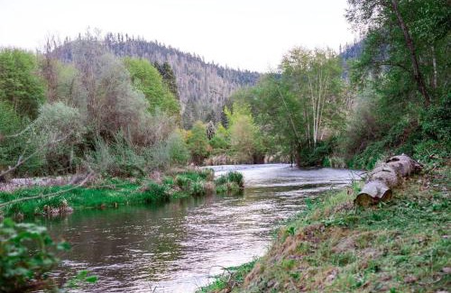 Murphy Sonstige | Cozy Wild West Covered Wagon next to River