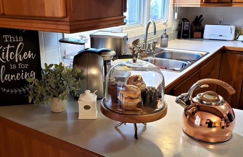 Stevensville Haus | Crestwood House - Rustic Ravine Glam im Herzen der Weinberge des Michigansees.