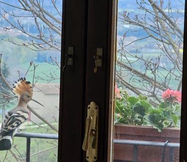 Castel d'Arno Haus | Cucina condivisione e natura - il rifugio perfetto per gruppi fino 31 - Assisi Perugia