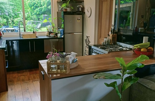 Napier Haus | Cute and quirky, close to the action Napier home