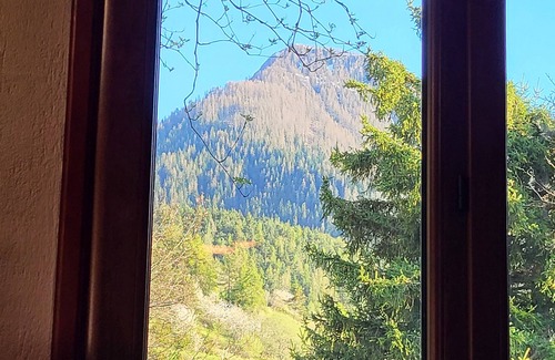 Valdeblore Skihütte | Cute chalet surrounded by trees