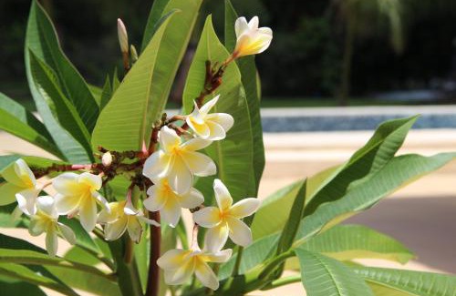 Resistencia Wohnung | CV Apart