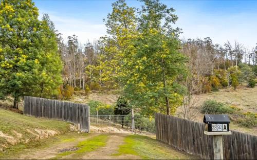 Cygnet Haus | Cygnet Valley Hideaway by Tiny Away