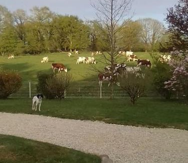Marboz Haus | Dépendance pour 1 à 4 pers au calme dans propriété