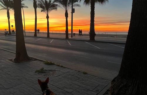 Sanlucar de Barrameda Haus | Dúplex junto a la playa